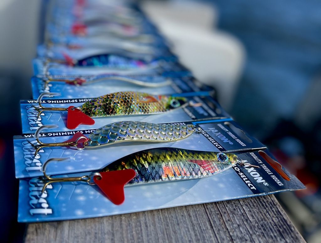 278330192_411216917482127_2197806113903252934_n