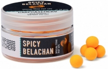 Бойли pop-up Carp Catchers Special Tone "Spicy Belachan " 10mm