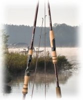 Спінінг G.Loomis JWR Jig &amp; Worm GL2