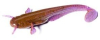 FishUp Catfish 2"