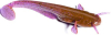 Силикон FishUp Catfish