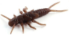 Силикон FishUp Stonefly