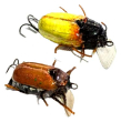 Воблер Жук Хрущ 38mm 4.0g Yellow