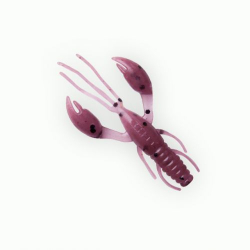 Силикон Fanatik Raider 1.6'' (10шт/уп) #021