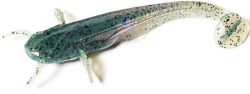 Силикон FishUp Catfish 2" (10шт) #057 - Bluegill