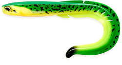 Силикон FishUp RAM Grub 7" (1шт) #303 - Fire Tiger