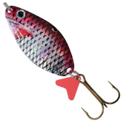 Jaxon HS Alga Scot 2