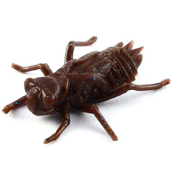 Силікон FishUp Dragonfly 0.75" (12шт) #012 - Chaos