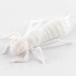 Силікон FishUp Dragonfly 1.5" (8шт) #009 - White