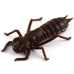 Силікон FishUp Dragonfly 1.5" (8шт) #012 - Chaos