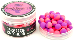 Бойлы Carp Catchers Pop-Up «Black Current&Scopex» 10mm