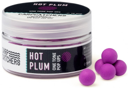 Бойлы Carp Catchers Pop-Up One Tone 10mm