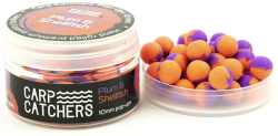 Бойлы Carp Catchers Pop-Up «Plum&Shellfish» 8mm
