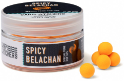 Бойли Carp Catchers Pop-Up Special Tone "Spicy Belachan " 8mm
