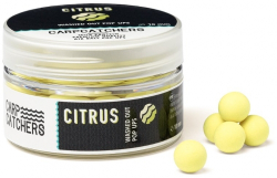 Бойли Carp Catchers Pop-Up Washed Out 8mm