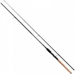 Спінінг Jaxon Tenesa Spinning