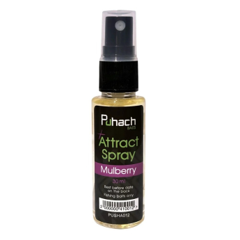 Спрей Puhach Baits Spray Hi-Atractt 30 ml - Mulberry (Шовковиця)