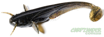 Силикон FishUp Catfish 2" (10шт) #043 - Watermelon Brown Black