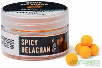 Бойли Carp Catchers Pop-Up Special Tone "Spicy Belachan " 8mm
