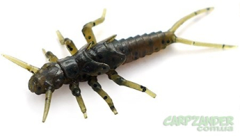 Силикон FishUp Stonefly 0.75" (12шт) #043 - Watermelon Brown Black