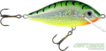 Воблер Jaxon HS Karas 11cm 39g #ST