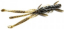 Силікон FishUp Shrimp 3" (9шт) #043 - Watermelon Brown Black