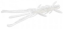 Силікон FishUp Shrimp 3.6" (7шт) #081 - Pearl