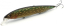 Воблер Megabass Kanata Ayu 160F 30g Northern pike