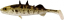 Силикон Westin Stanley the Stickleback Shadtail 7.5cm 4g Stickleback 1шт