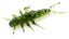 Силикон FishUp Stonefly 0.75" (12шт) #042 - Watermelon Seed