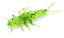 Силикон FishUp Stonefly 0.75" (12шт) #055 - Chartreuse Black