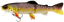 Воблер Westin Tommy the Trout 15cm 40g (LF) Brook Trout