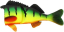 Запасне тіло до приманки Westin  Percy the Perch 20cm Spare Body Crazy Firetiger